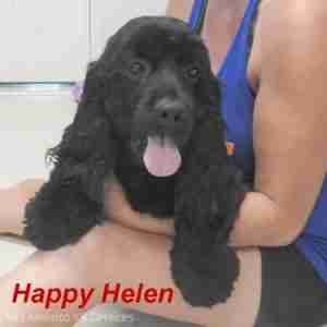 helen-ws1-300x300