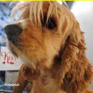 Hanna01-06-23-01-300x300