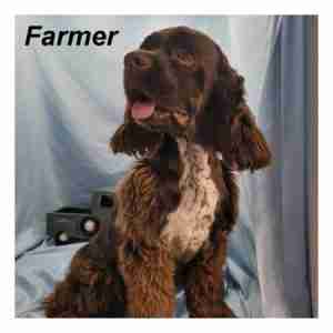 farmer-ws1-300x300