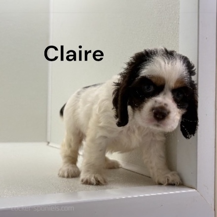 claire ws1