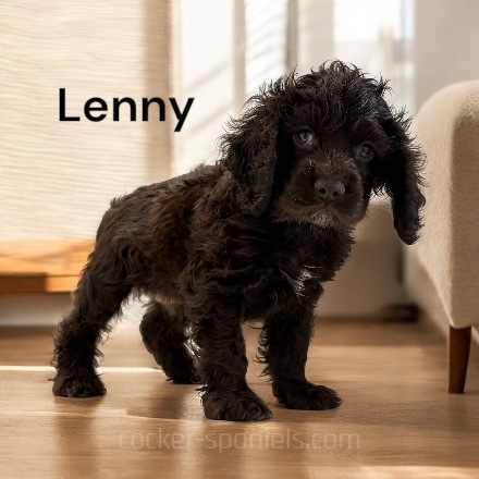 lenny ws2