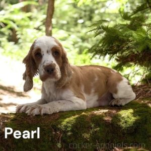 pearl ws1